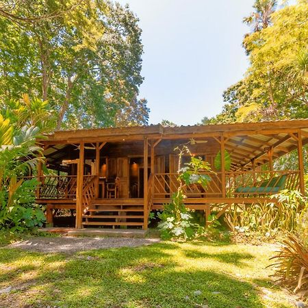 Casa Viva Lodge Puerto Viejo de Talamanca 외부 사진
