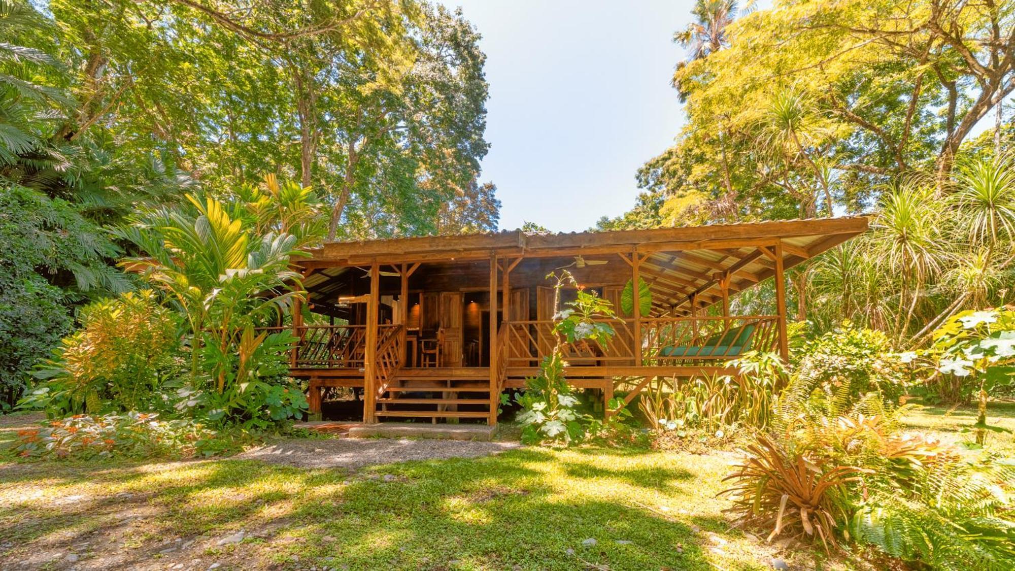 Casa Viva Lodge Puerto Viejo de Talamanca 외부 사진