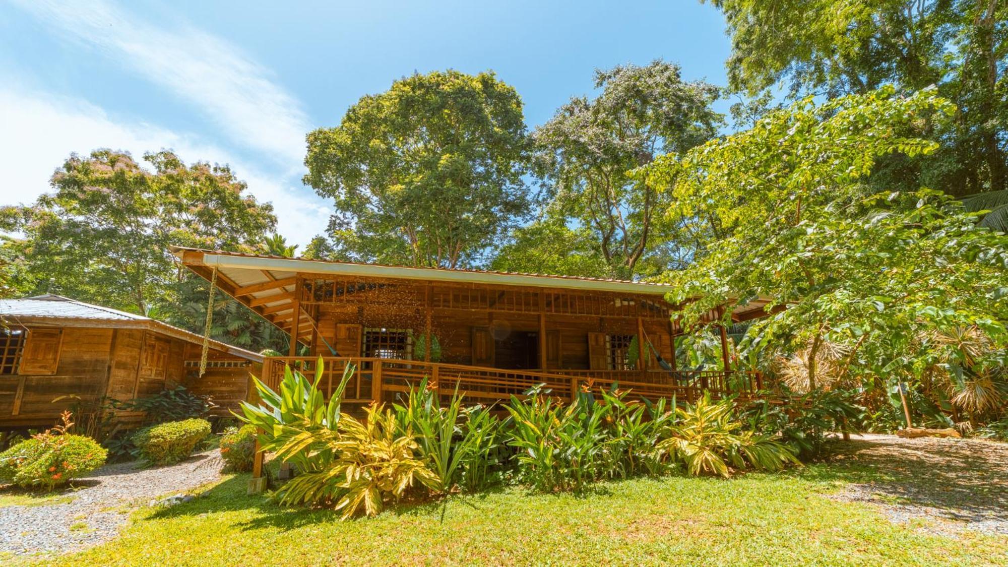 Casa Viva Lodge Puerto Viejo de Talamanca 외부 사진