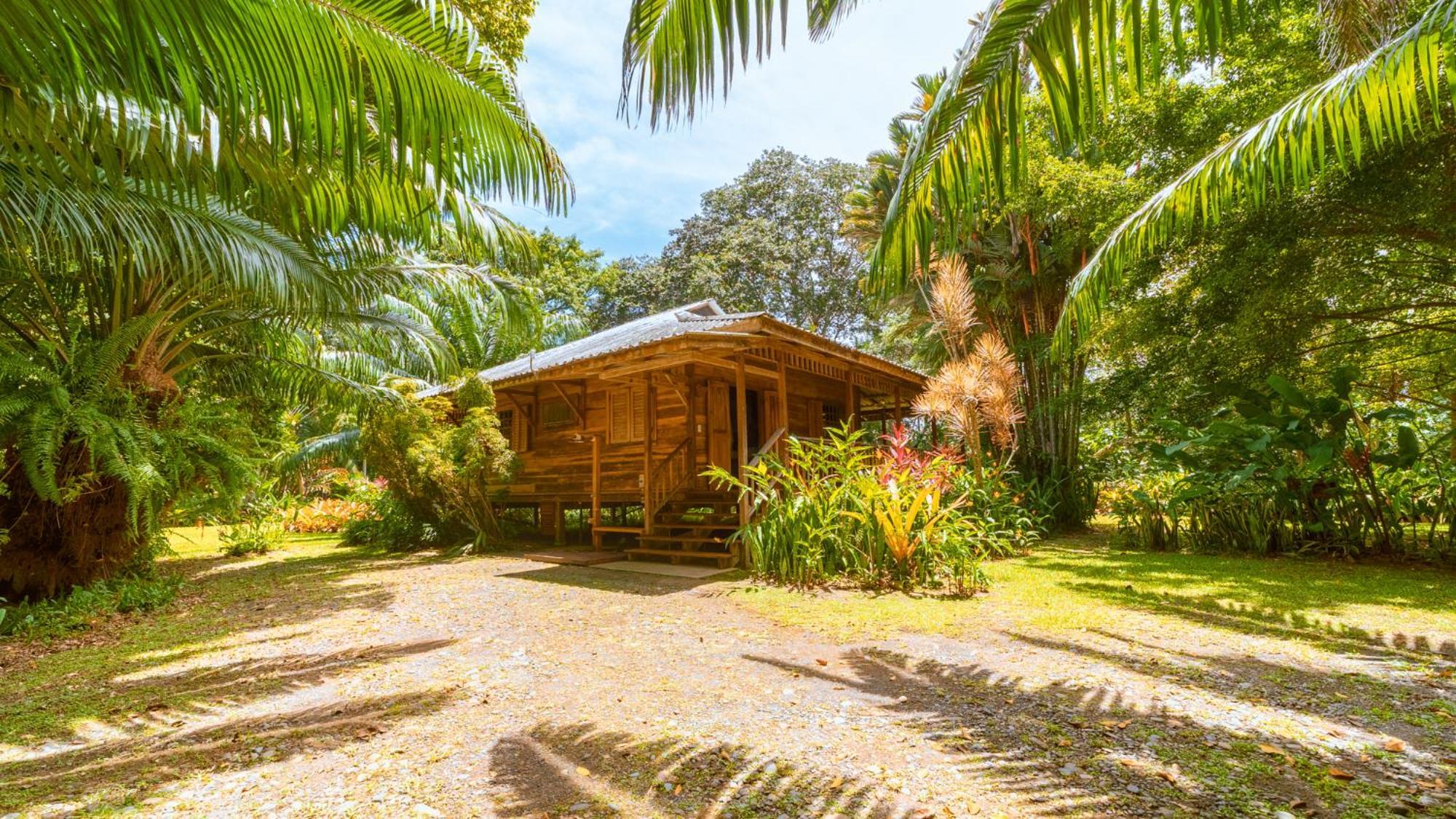 Casa Viva Lodge Puerto Viejo de Talamanca 외부 사진
