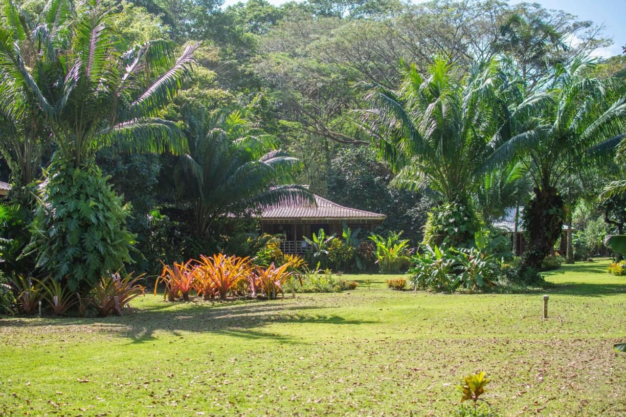Casa Viva Lodge Puerto Viejo de Talamanca 외부 사진