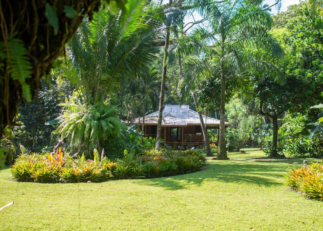 Casa Viva Lodge Puerto Viejo de Talamanca 외부 사진